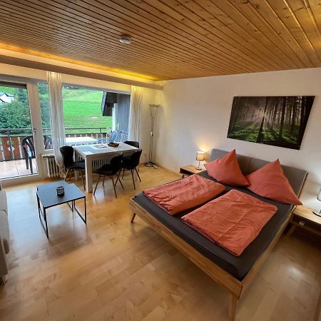 Haus Am Sonnenberg, Todtnauberg, Ferienwohnung 204, Direkt Am Skilift-Skipiste, Naehe Feldberg Ngoại thất bức ảnh