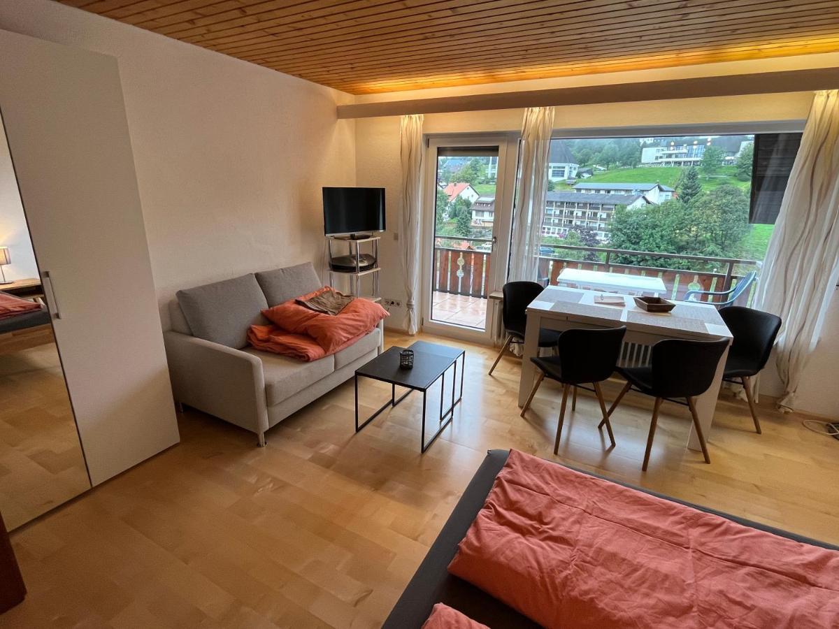 Haus Am Sonnenberg, Todtnauberg, Ferienwohnung 204, Direkt Am Skilift-Skipiste, Naehe Feldberg Ngoại thất bức ảnh