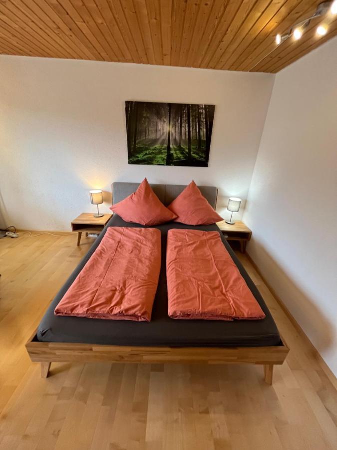Haus Am Sonnenberg, Todtnauberg, Ferienwohnung 204, Direkt Am Skilift-Skipiste, Naehe Feldberg Ngoại thất bức ảnh